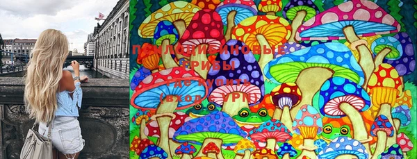 PSILOCYBIN Белокуриха